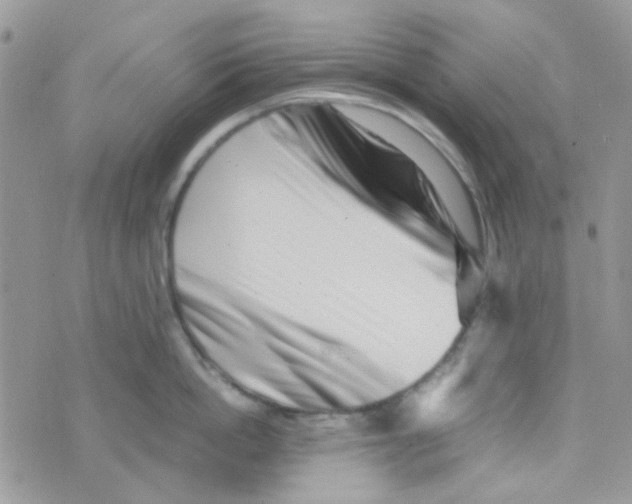 X0000074950862200609291846