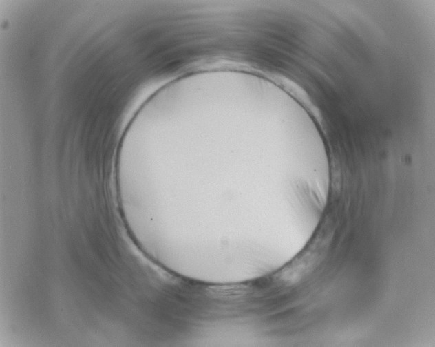 X0000074950863200609291846