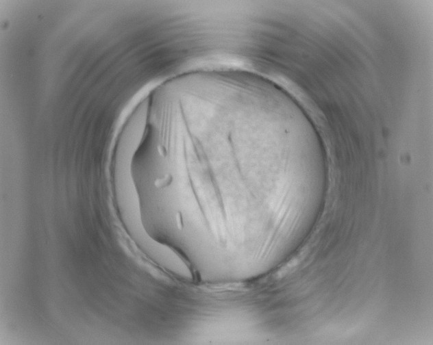 X0000074950864200609291846