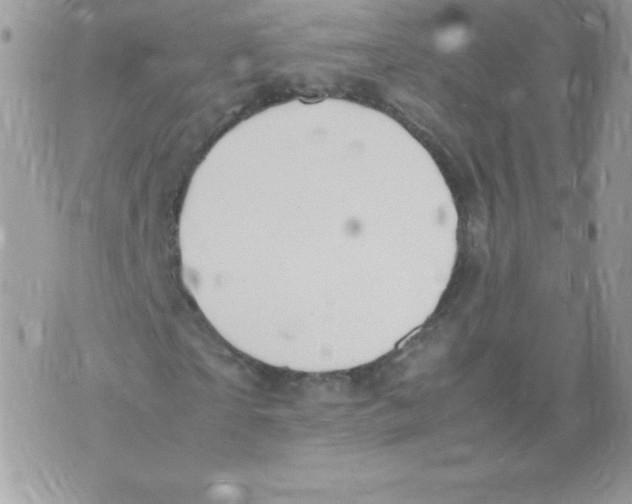 X0000074950865200609291845