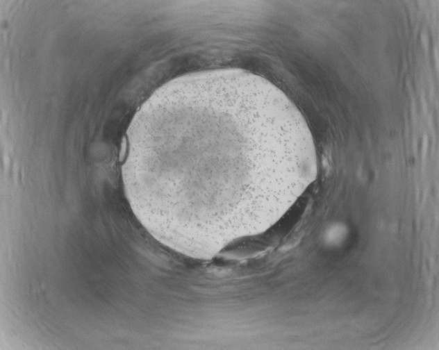 X0000074950867200609291845