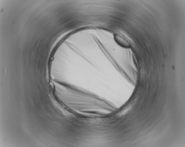X0000074950940200609291844