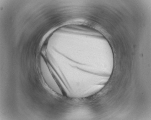 X0000074950960200609291844