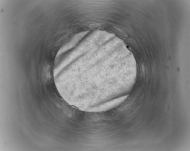 X0000074950962200609291843