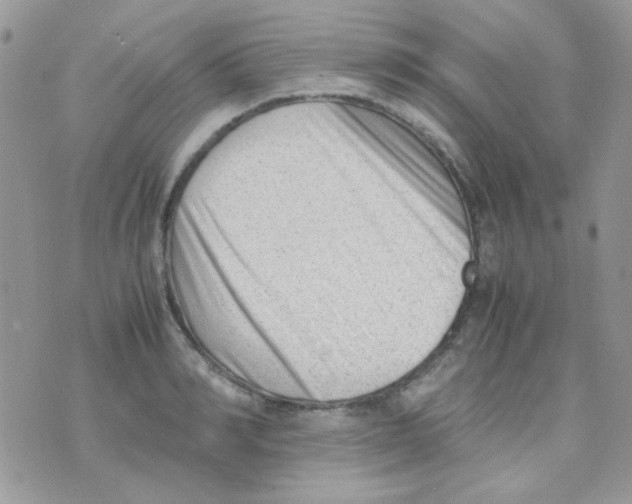 X0000074950990200609291843