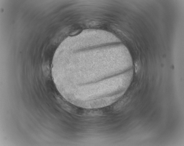 X0000074951011200609291842