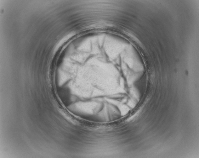 X0000074951026200609291842