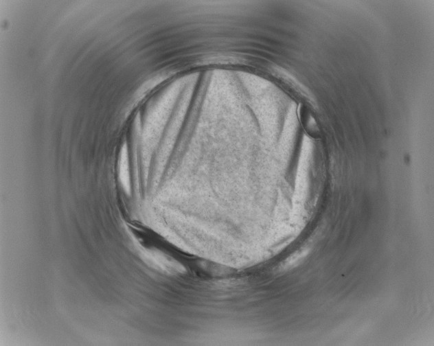X0000074951033200609291842