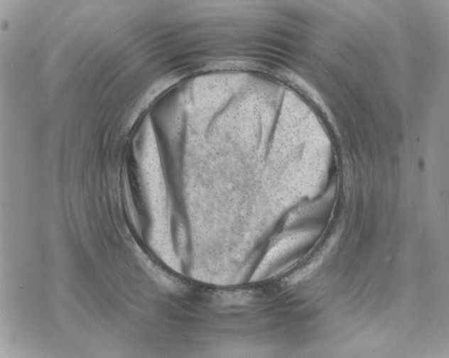 X0000074951041200609291842