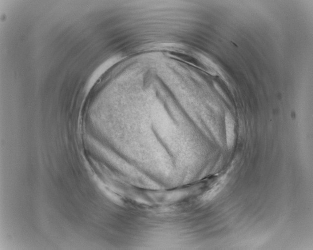 X0000074951050200609291842