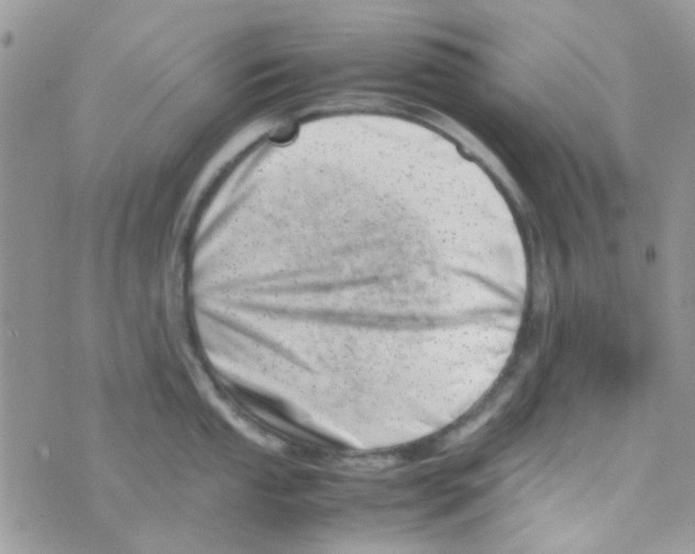 X0000074951053200609291843