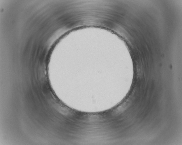X0000074951070200609291842