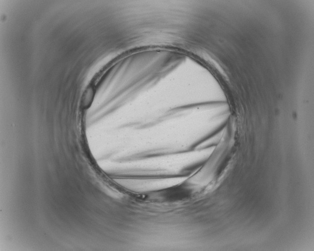 X0000074951077200609291841