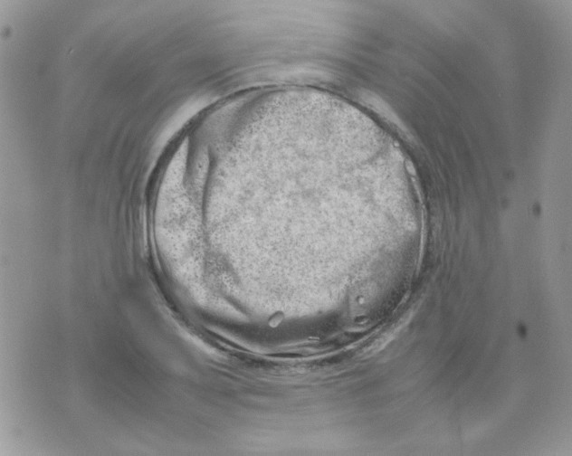 X0000074951079200609291841