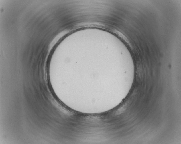 X0000074951082200609291841