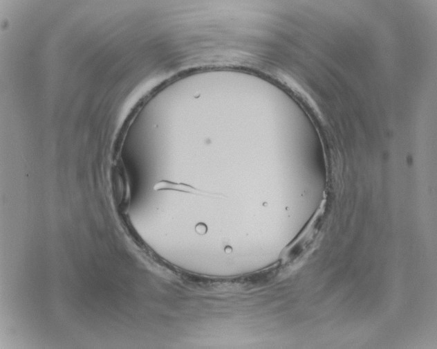 X0000074951085200609291841