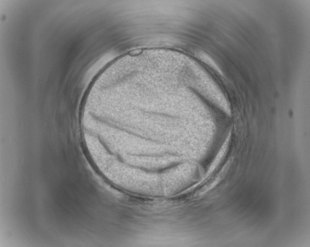 X0000074951087200609291841