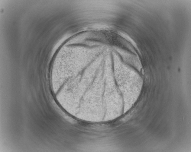 X0000074951091200609291841