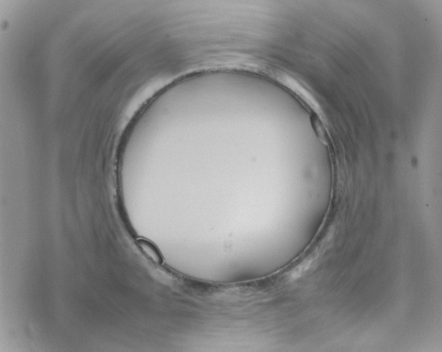 X0000074951093200609291841