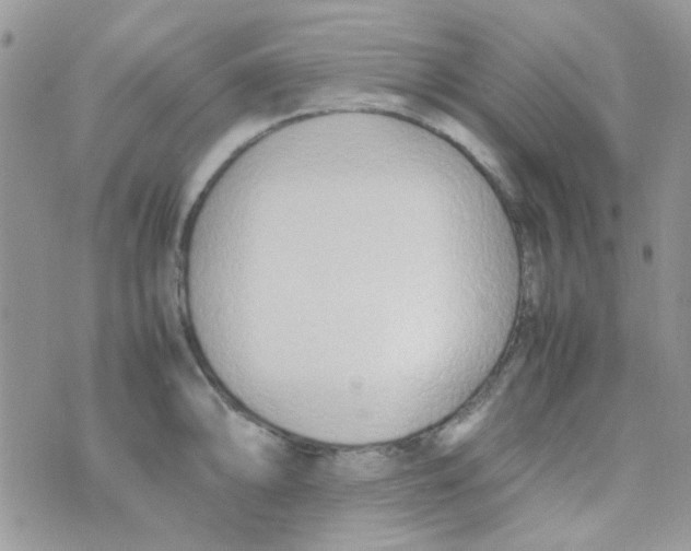 X0000074951094200609291841