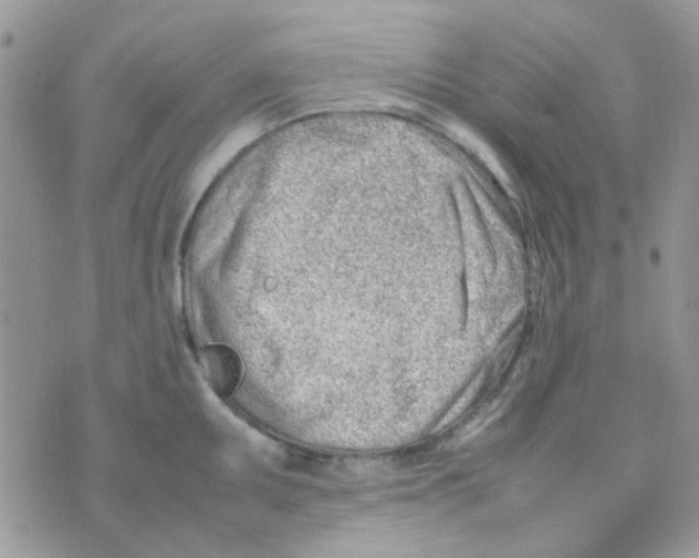 X0000074951095200609291841