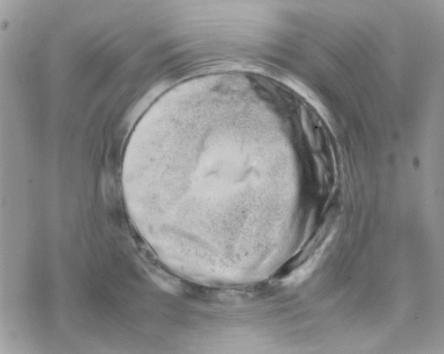 X0000074951097200609291841