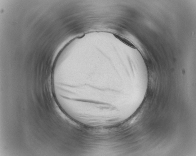 X0000074951100200609291841