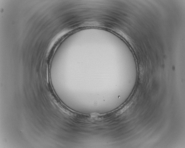 X0000074951123200609291841