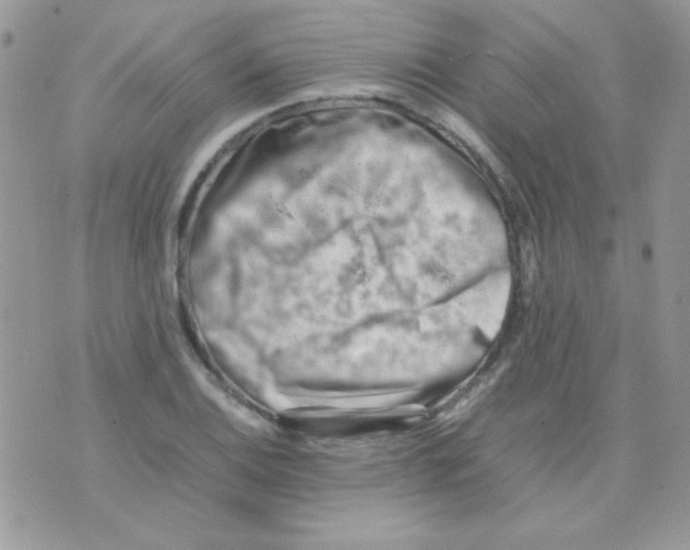 X0000074951124200609291841