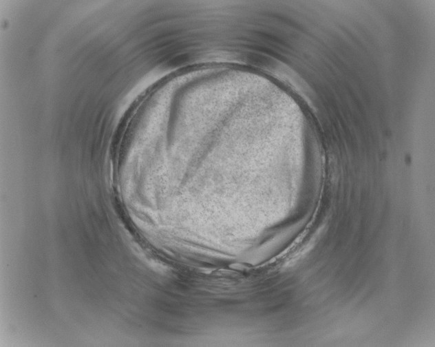 X0000074951125200609291841