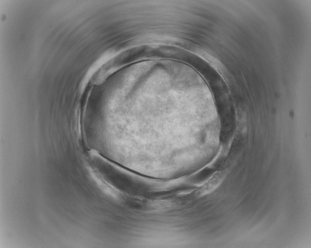 X0000074951128200609291841