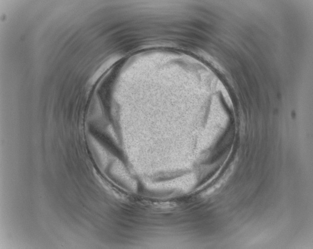 X0000074951137200609291841