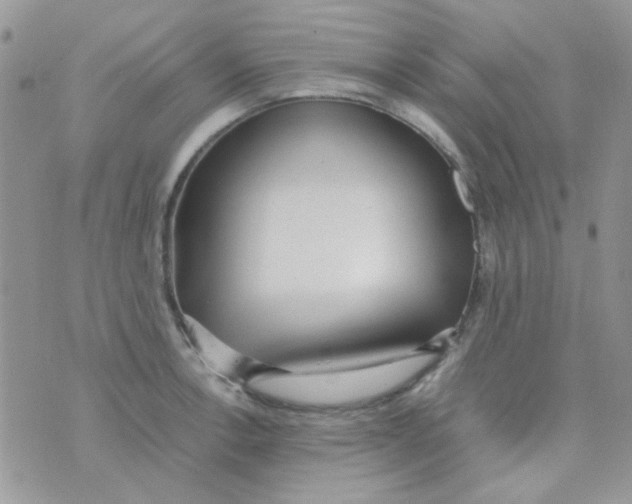 X0000074951138200609291841