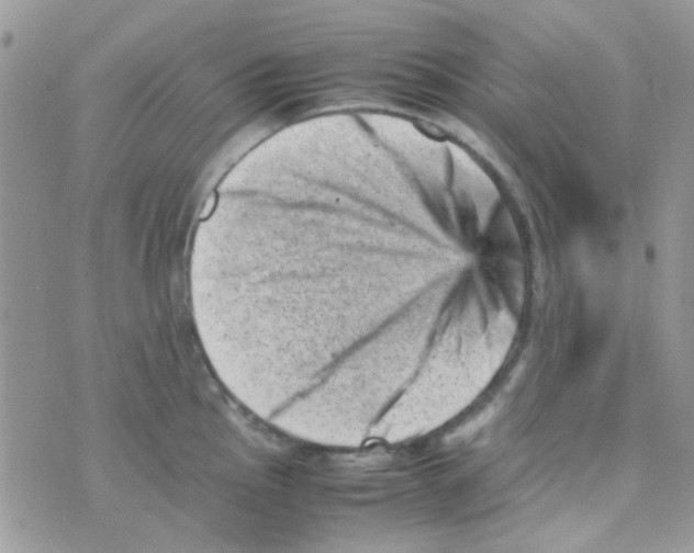 X0000074951145200609291841