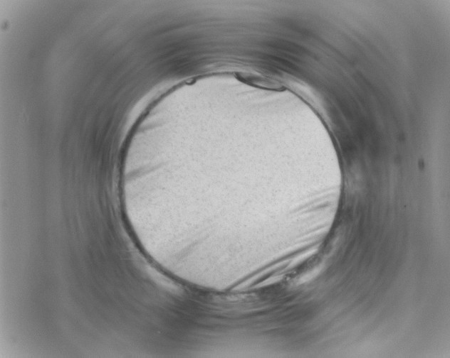 X0000074951149200609291841