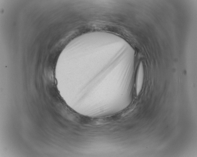 X0000074951155200609291840