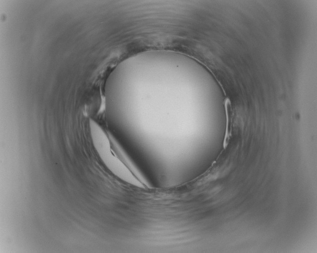 X0000074951202200609291839