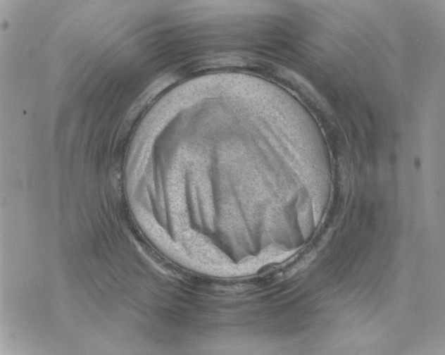 X0000074951225200609291839