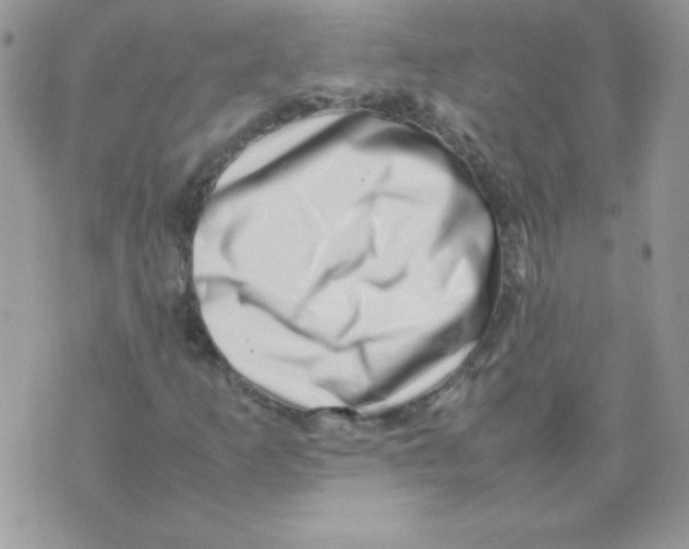 X0000074951253200609291839