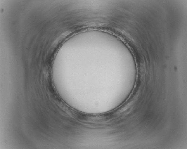 X0000074951257200609291838