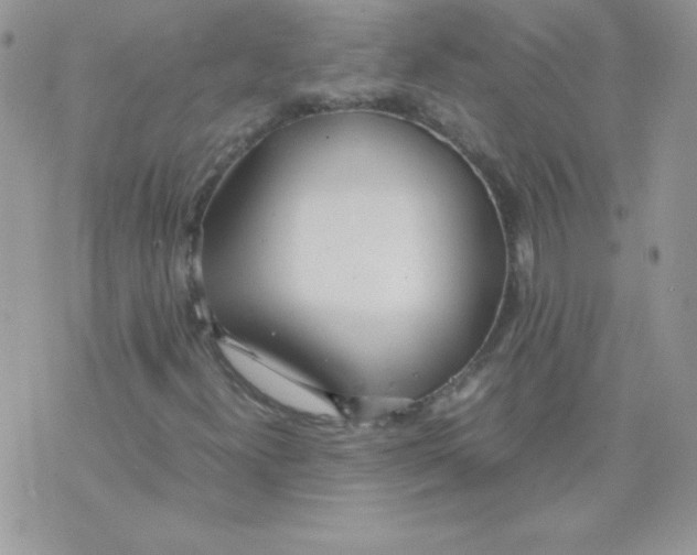X0000074951300200609291837