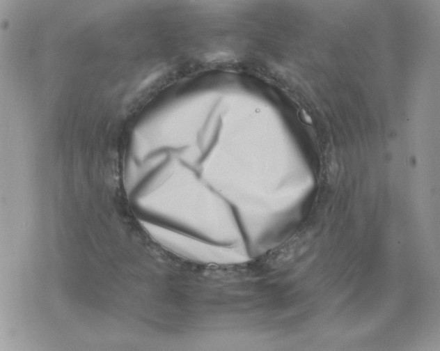X0000074951301200609291837