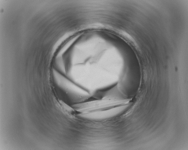 X0000074951326200609291837