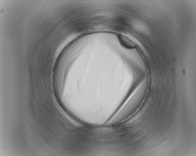 X0000074951333200609291838