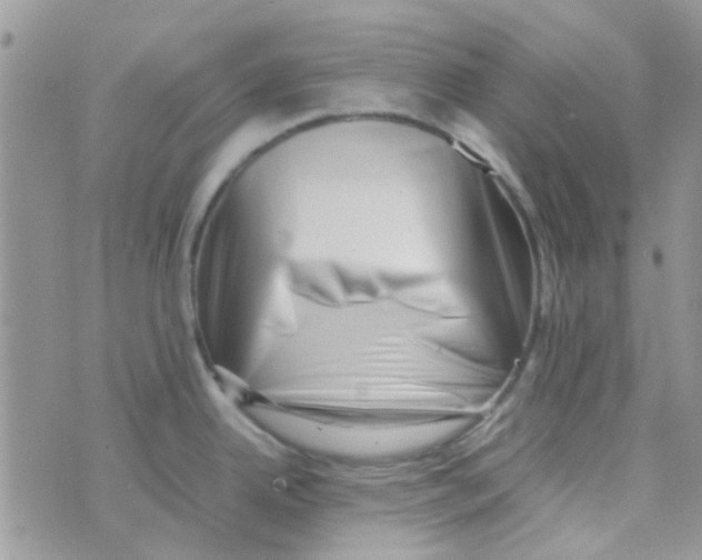 X0000074951342200609291838
