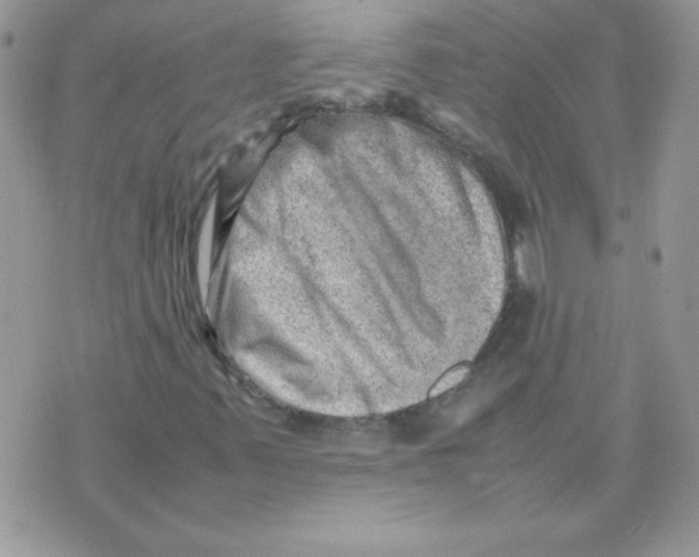 X0000074951347200609291837