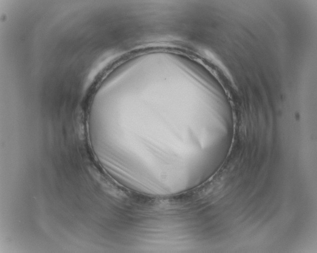X0000074951360200609291837