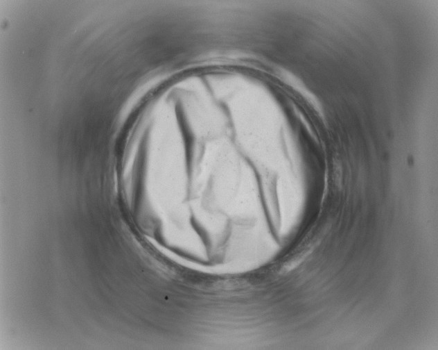 X0000074951368200609291837