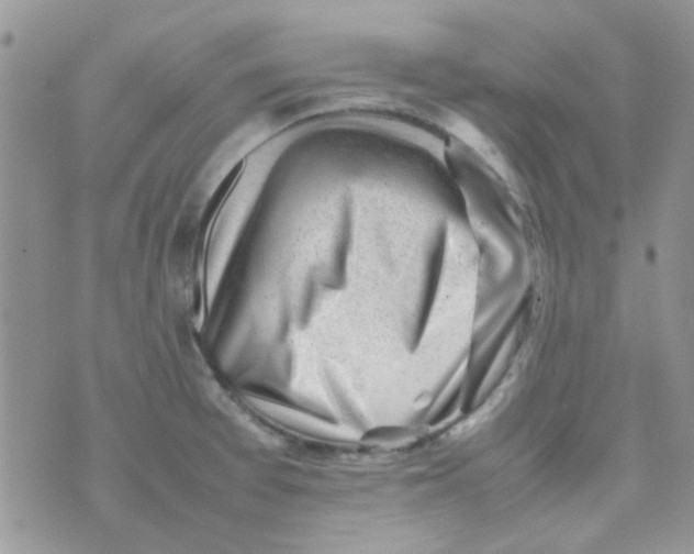 X0000074951377200609291836