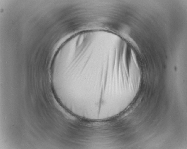 X0000074951380200609291836